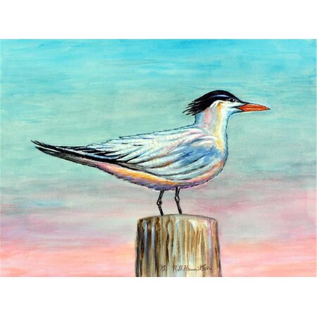 Betsy Drake Royal Tern 30 x 50 Door Mat DM951G